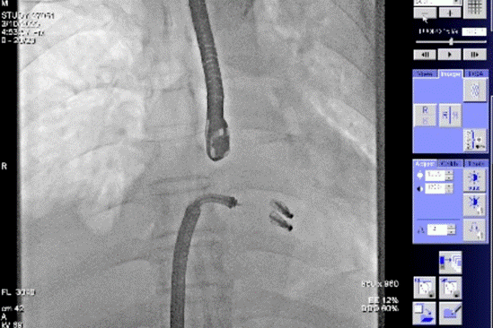 截屏2023-03-13 08.56.49