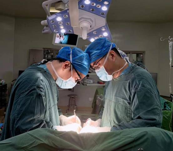 0f18563fef1af49b03d3f51a8f5e1d5