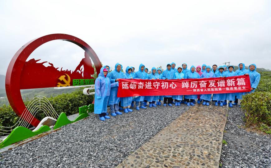 06d85bdf7514a564c0b953571932fa0