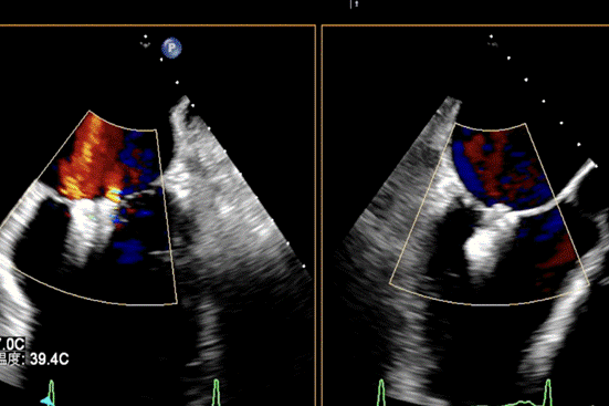 截屏2023-03-13 08.57.14