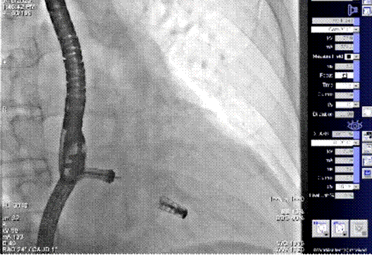 截屏2023-03-13 08.46.42